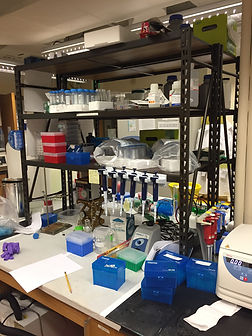 Lab bench