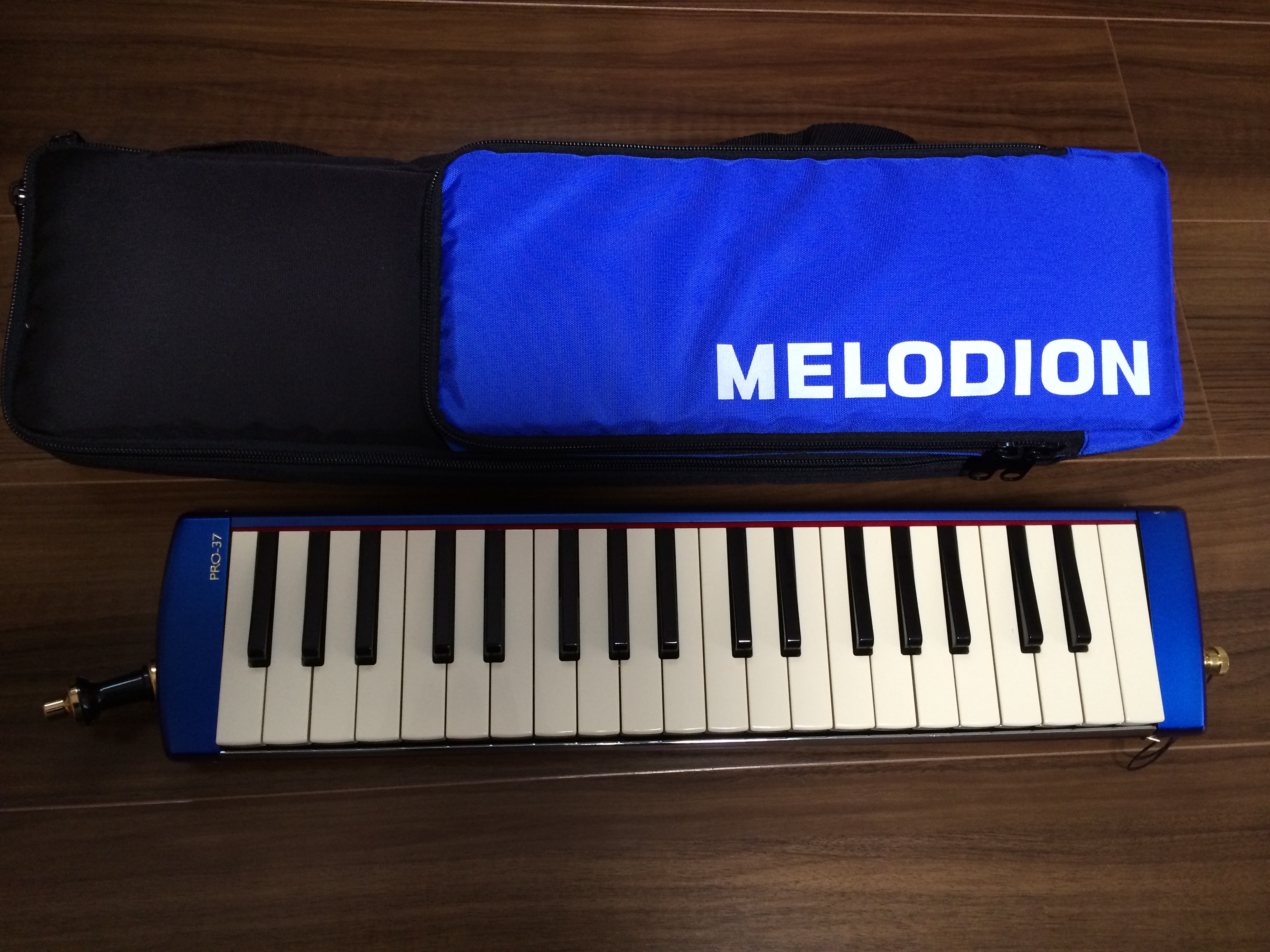 SUZUKI MELODION