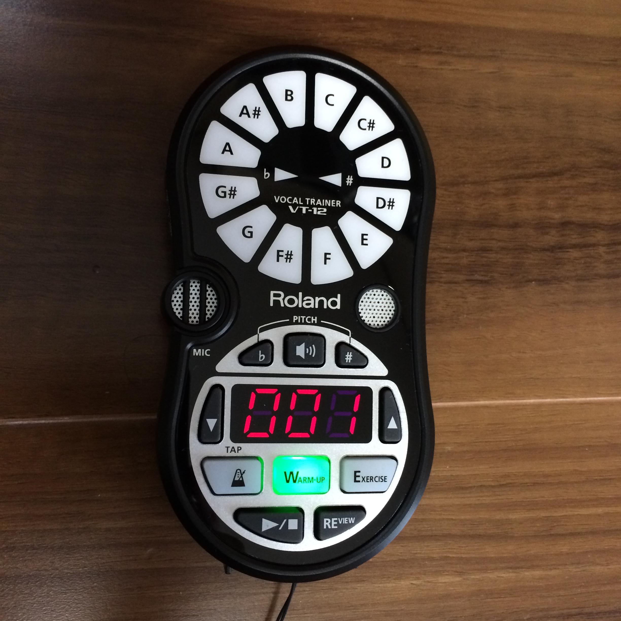 Roland VT-12(Vocal Trainer)