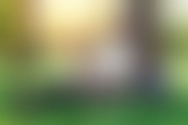 A woman sits on the ground beneath a tree, listening to audio while her Husky dog sits on her lap