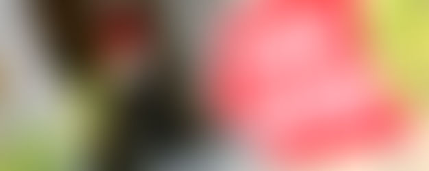 StoryStyle™ Audio Learning Case Study: Realtor® Safety 