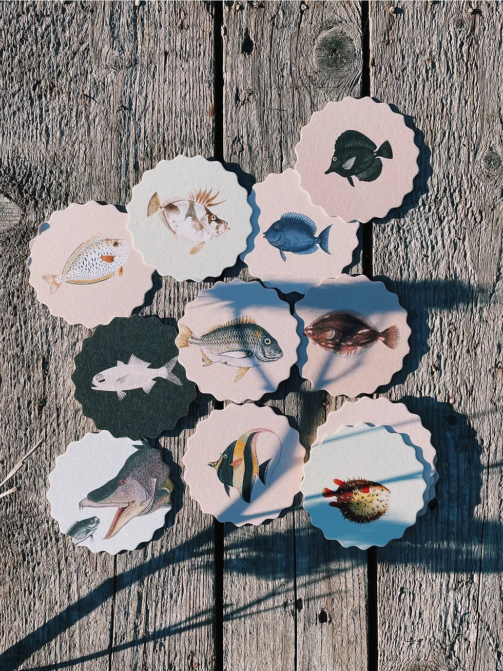 Conjunto de Bases para Copos Peixe