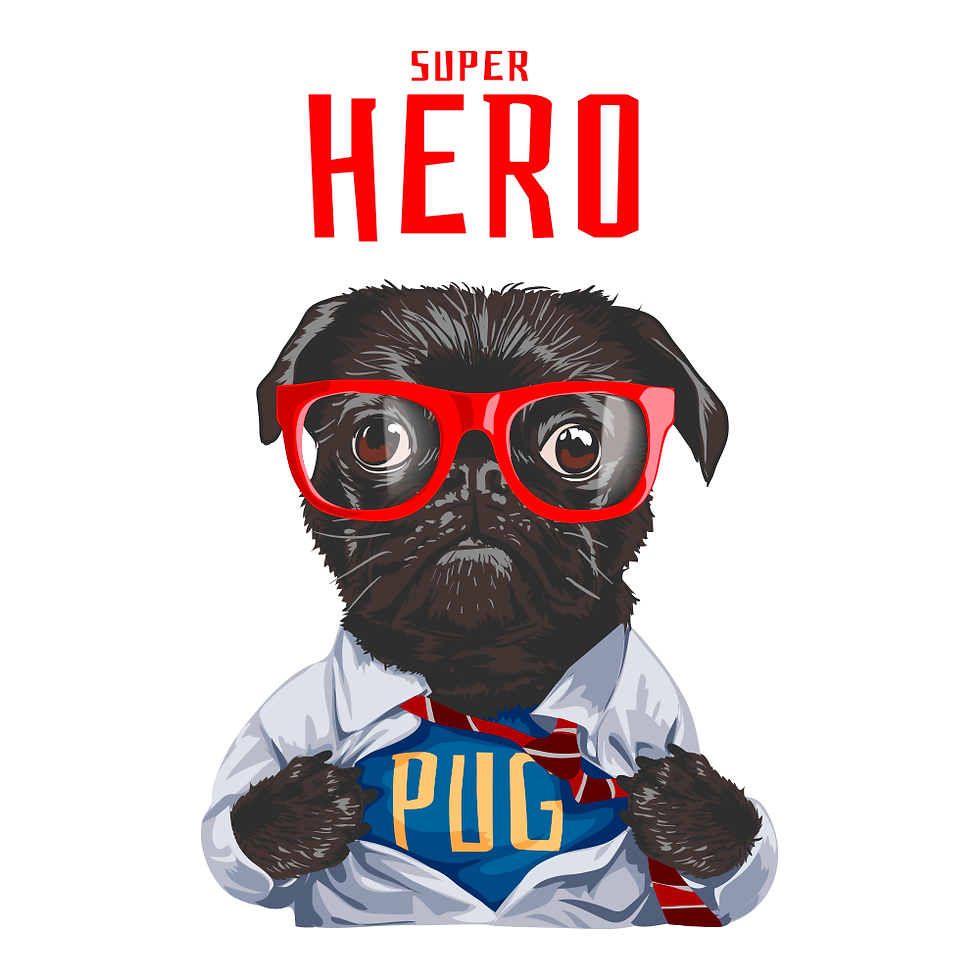 Miniatura: Super Hero Dog
