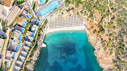 daioscove_landscape_08-1570x870_edited.j