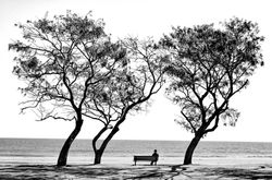 Enjoying a Quiet Moment