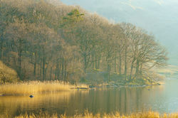 Rydal Evening