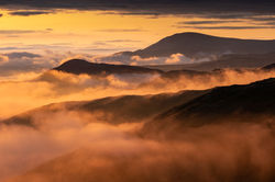 Newland_s Sunrise Joint 2nd place