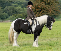 Waiting for the Judge