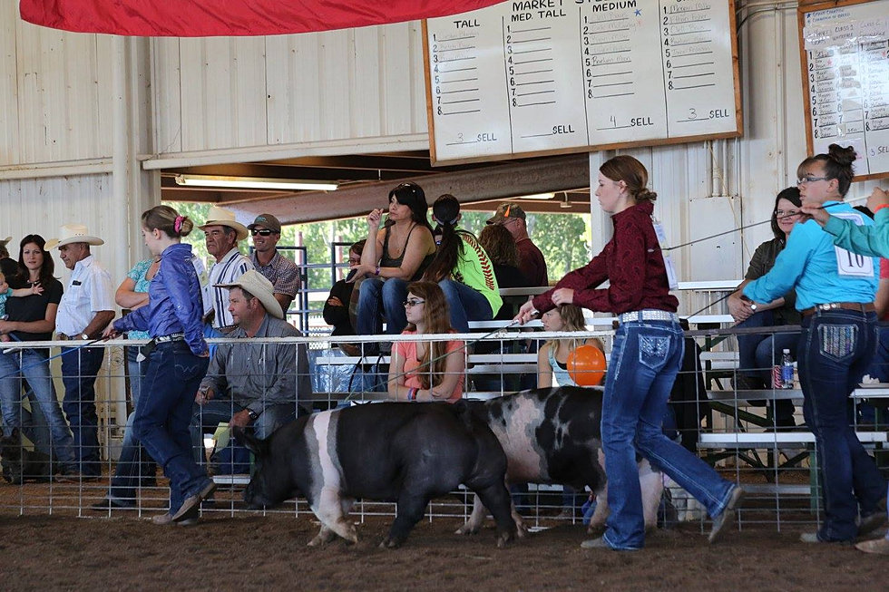 Grant County Fair 2024 Schedule Of Events Kally Marinna