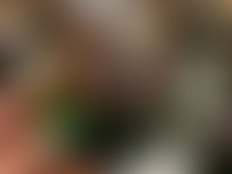 Chocolate Cupcakes #FoodieReads