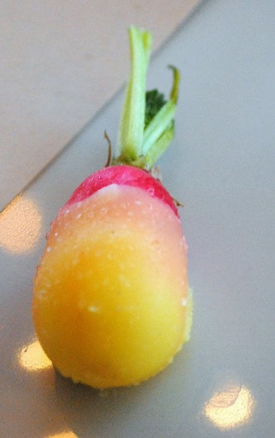 ree