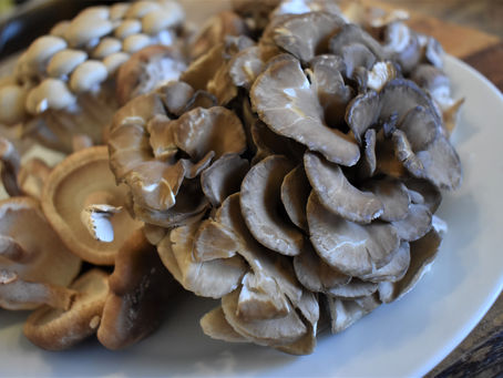 Up to The Kitchen Front Challenge? Cream of Mushrooms Soup #CooktheBooks #FoodieReads