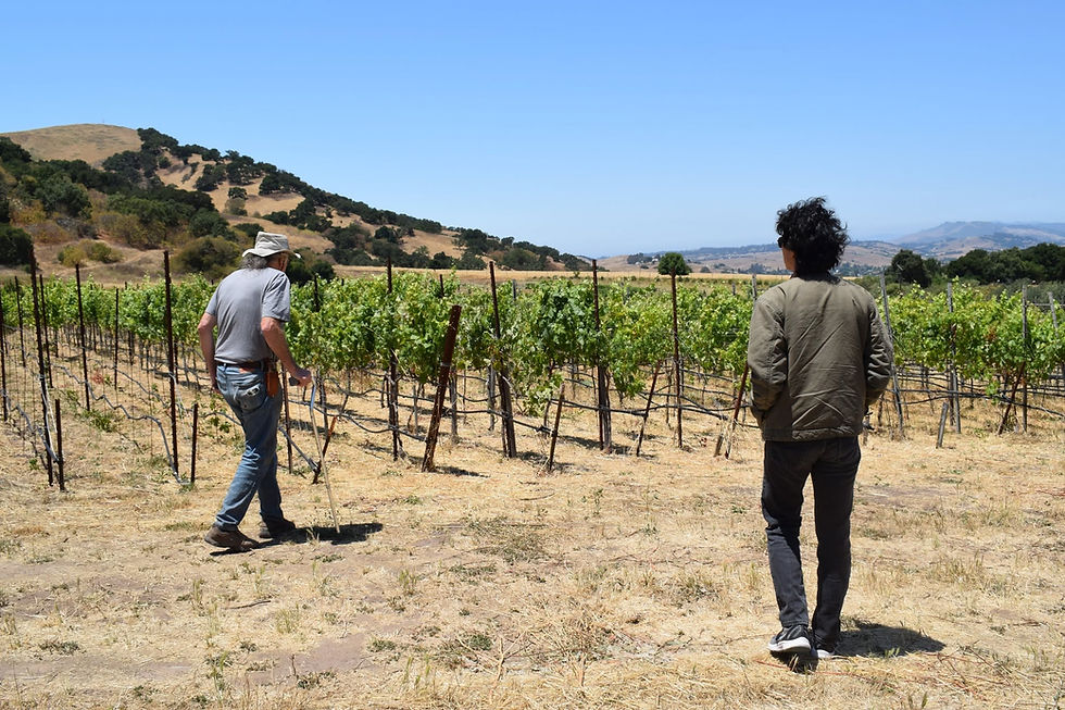 Popelouchum + Randall Grahm: Lunch in the Vineyard named 'Paradise' with the Original Rhône Ranger