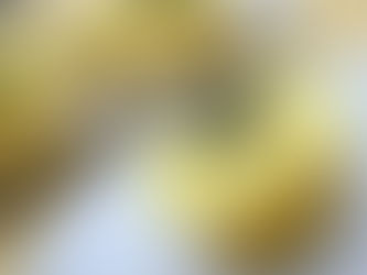 Black-Eyed Susan Cupcakes #FoodieReads