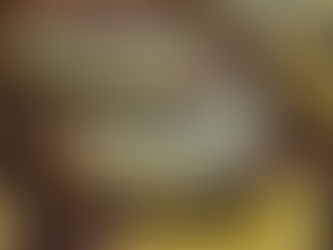 Banana Slug Bread #FoodieReads