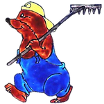 Bild1.png