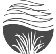 Blue Carbon international_edited.png