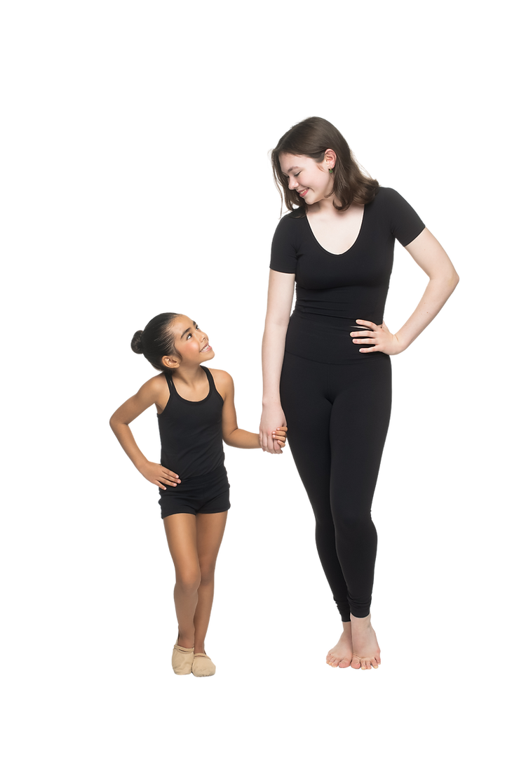 Transparent BG for Website (20 x 30 in).png