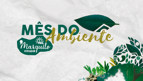 Mês do Ambiente - Não estamos defendendo a natureza, somos a natureza se defendendo!