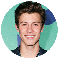 Shawn Mendes.gif