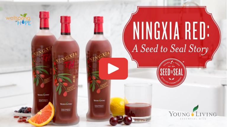 Young Living works directly with vendors at the Ningxia Wolfberry Farm and Distillery in NingXia, a region in China, to grow wolfberries in a pristine location that is rigorously tested for pesticides, heavy metals, and other potential contaminants. Once the wolfberries are harvested, they’re cleaned and sent off to be pureed. Click image above to watch the journey of NingXia Red! From the remote fields of the Ningxia, China to your home.