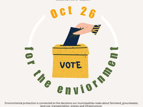 Is protecting our environment a deciding factor in your vote for mayor?