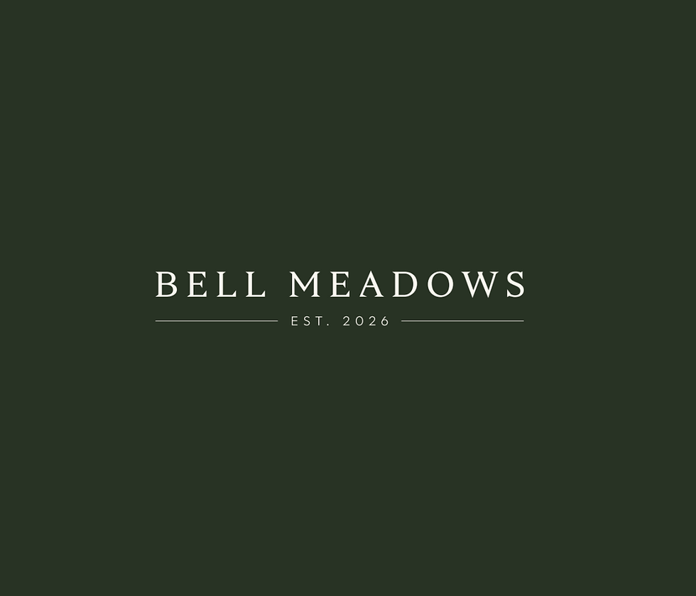 Bell Meadows Construction Update: Progress Is Underway in Wainfleet