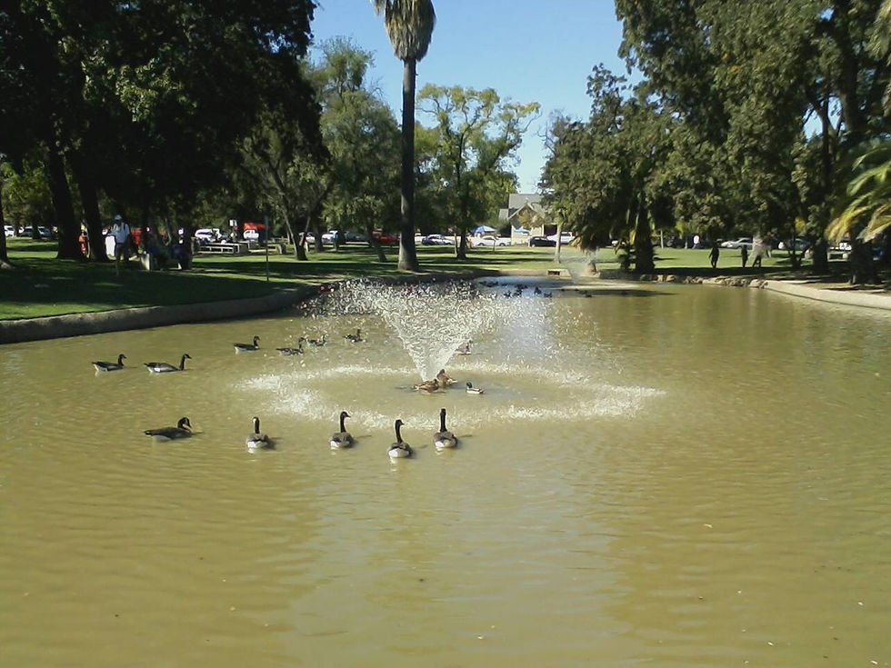 Haggin Museum, Victory Park 2014