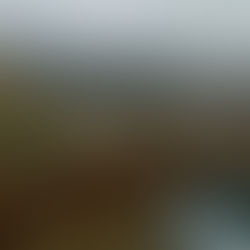 The Joy of an Unplanned Drive