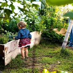 baby garden.jpg