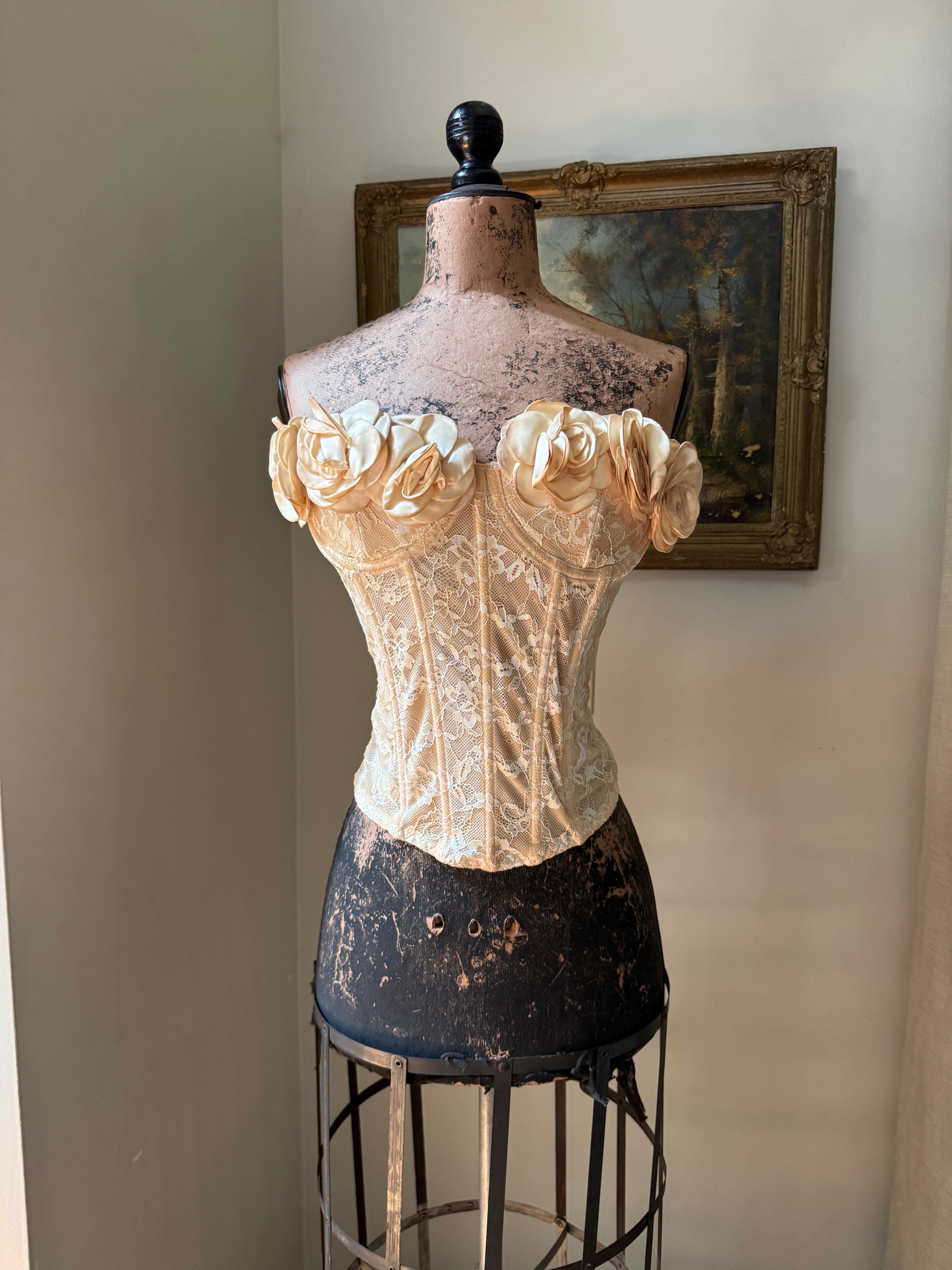 Lace Corset with Rosette Trim Corset Top
