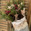 Thumbnail: Champagne Velvet Full Size Stocking Arrangement with Lace Trim