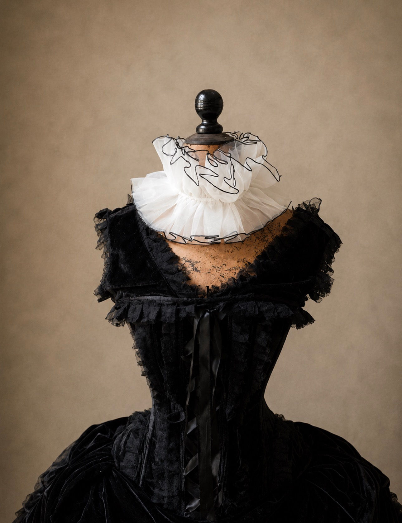 White Ruff with Black Trim 