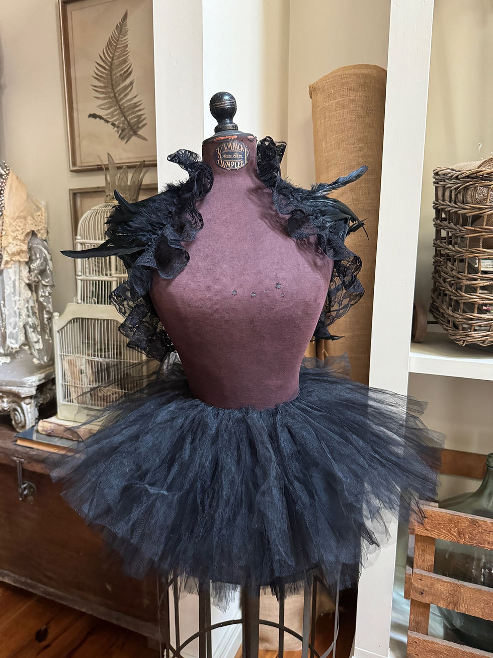 Thumbnail: Short Black Tutu