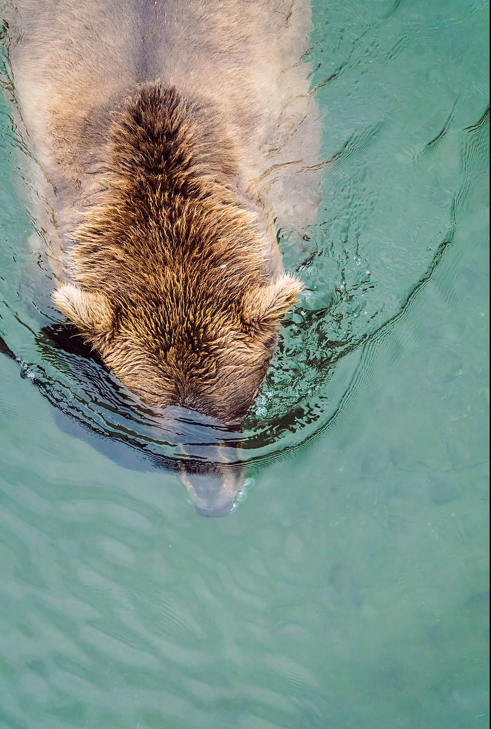 Stolen_000302_172765_20247589_13950