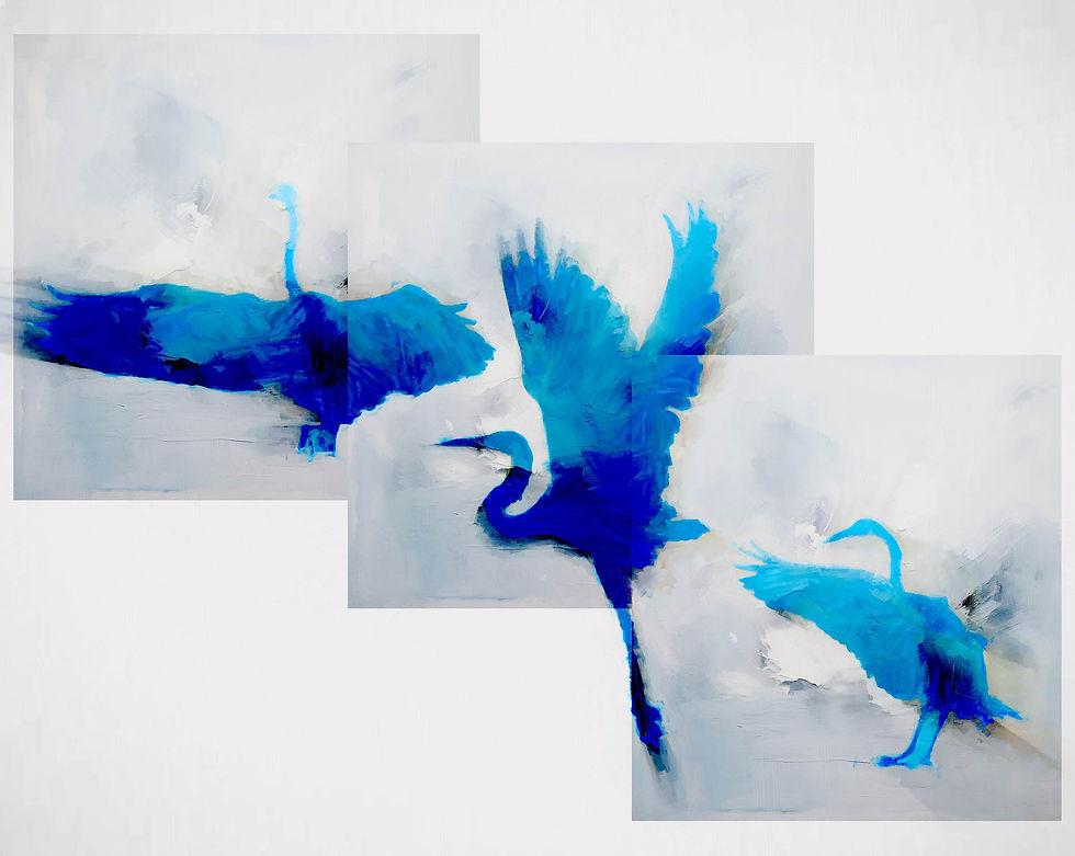 Carson_000049_139521_20067529_13950