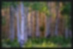 Stolen_000305_172765_20247588_13950
