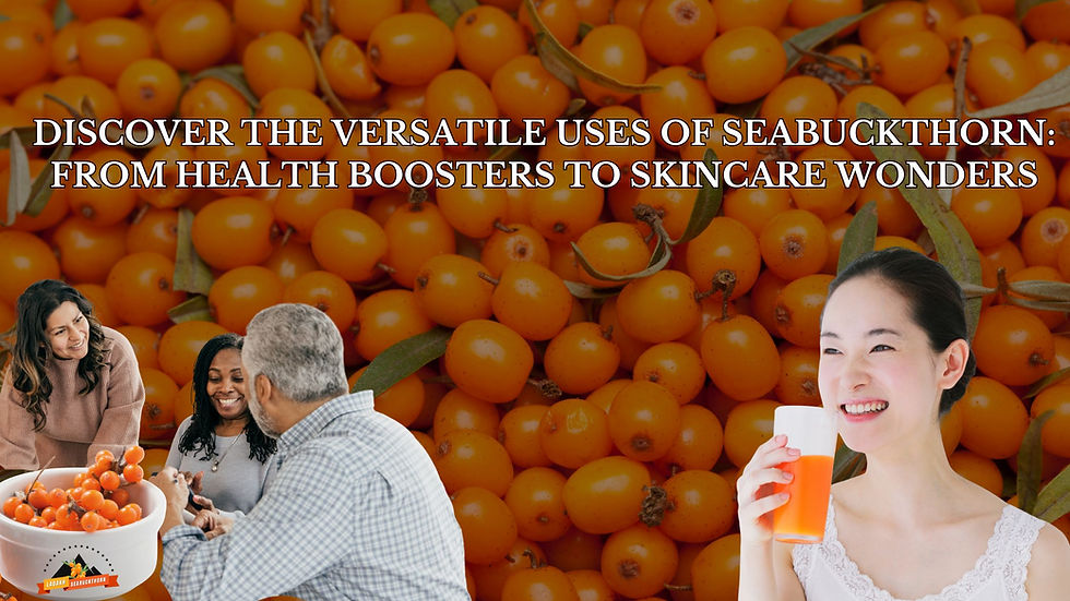Exploring Seabuckthorn: From Knew Verb to Today's SuperFood  