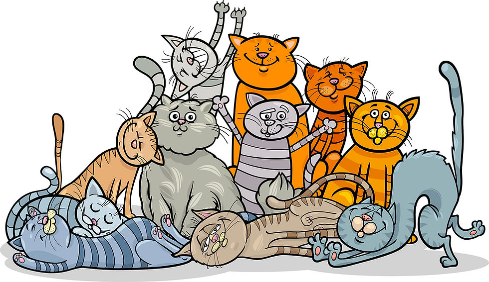 One-A-Day Sticker Stories, Paolini Method, ReadWriteSpell, Talita Paolini