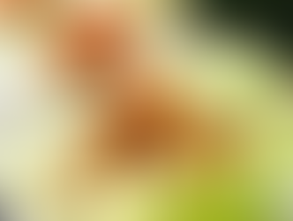 Family Meal AND Party Food Alert: Minced Chicken in Lettuce Cups!