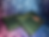 Thumbnail: Mystery Box(Book included)