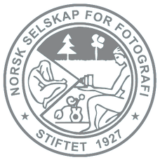 nsfflogo_grå.png