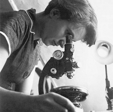 The Dark Lady of DNA: Rosalind Franklin