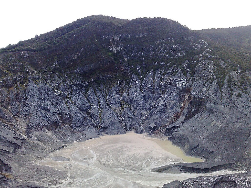 The crater of Tangkuban parahu, 2008
