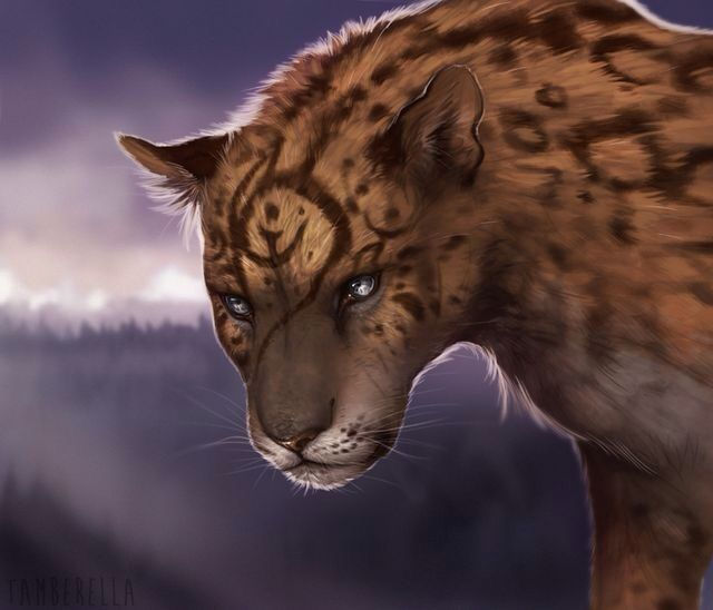 Servant of the Leopard Wayana