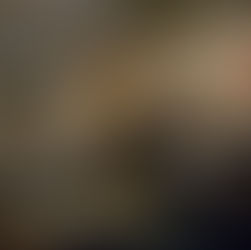 Liberty’s Bold Gamble