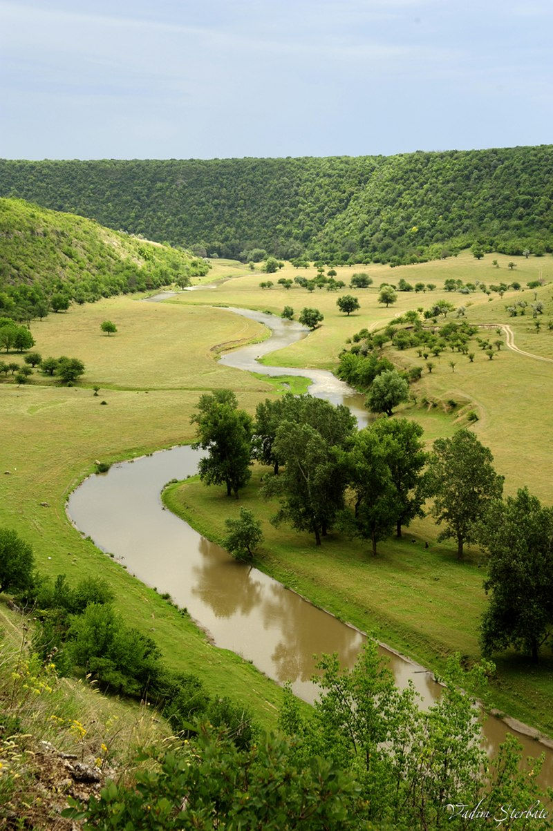 Trebujeni reserve