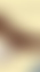 Range of the Indian Rhinoceros