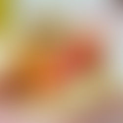 Best Hot Dogs in the Northeast