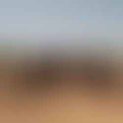 February 2026 Crossword Puzzle